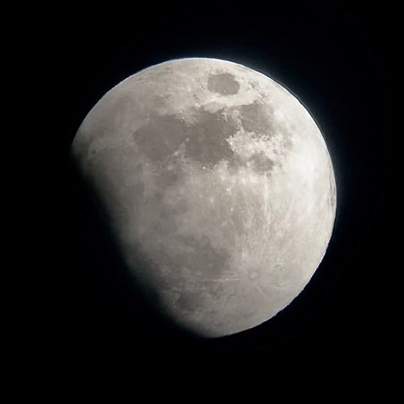 Meet your Posher, Evan - Picture 1 of 1